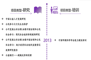 大鸡巴操小嫩逼视频非评估类项目发展历程